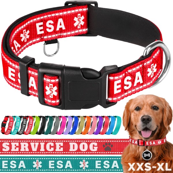 TECEUM Reflective Pet Collar – Red - ESA – S