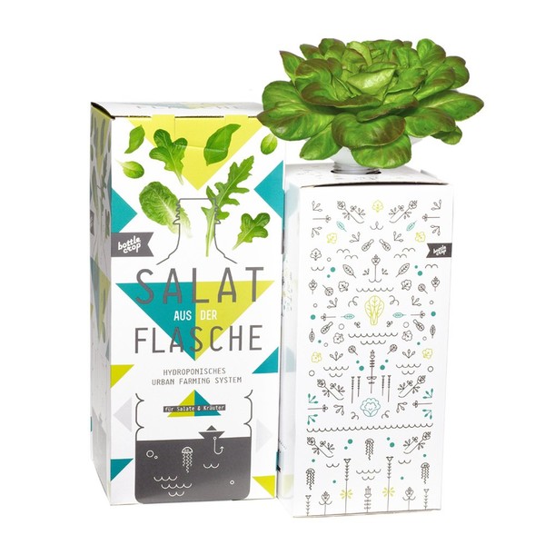 Dresden Onlineshop Bottlecrop Salad from the Bottle, Cultivation System, Urban