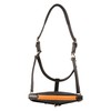 Exion Leather Soft Padded Orange Halter and Leather Lead with
