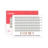 EXTENIFY 11mm Individual Lashes C Curl 10D Cluster Lashes 120pcs