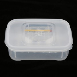 12 Pcs Snakeskin Egg Hatching Box Grid Clear Plastic Reptile Egg Hatcher with Better Air Circulation and Improved Hatch Rate, Suspension Hatching, Easy to Clean, Repeatedable, Includes Thermometer for