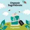 Clipper Organic Peppermint 25 Teabags (Pack of 6, Total 150