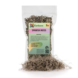 Premium Natural Spanish Moss | Natural Preserved - Great Ground Cover - Filler for Potted Plants - by GARDENERA - 2 Quart Bag