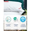PARADIES Three-Chamber Pillow 40 x 80 cm - 100 g