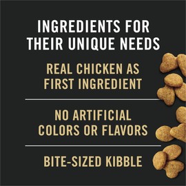 Purina Pro Plan Adult Indoor Chicken and Rice Formula High Protein Cat Food 16 Pound (Pack of 1)