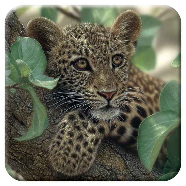 3D LiveLife Cork Coaster - Tree Hugger from Deluxebase. Lenticular
