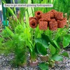 icyhey 20Pcs Aquatic Water Plant Fixed Rings, 25mm Aquatic Plant