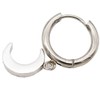 Crescent Moon Stainless Steel Hoop Earrings 1 Pair, Stainless Steel,