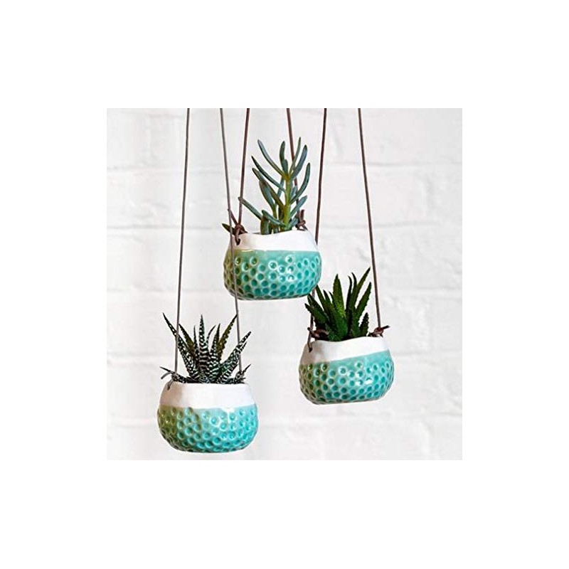 Burgon & Ball 'Baby Dotty' Hanging Pot