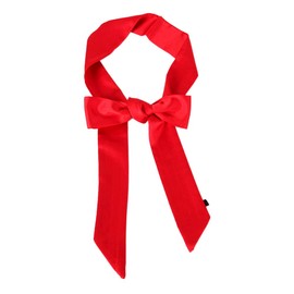 Ribbon Scarf for Women Handbag Wrap Handle Satin Belt Sash Necktie Neck Scarf PSSD01 (Red 1)