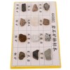 Hohopeti 12-Piece Mineral Rock Specimen Kit for Collection Geology Classroom