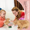 JIASHA Simulation Capybara Plush Toy, Cute Capybara Plush Toy, Capybara
