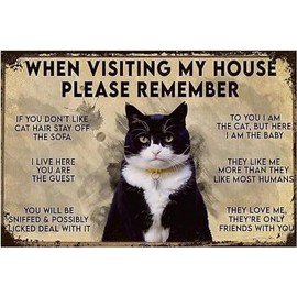 HOUVSSEN Funny Cat Sign When Visiting My House Cat Plaquecat Lovers Metal Tin Sign Wall Plaque Visitors Note Sign cat Vintage Sign 8x12 inch