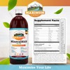 Maximum Living MineralRich Minerals Supplement with Aloe - Liquid Blend