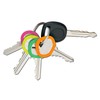 Lucky Line Medium Key Identifiers, Neon, 4 Pack (16706), assorted