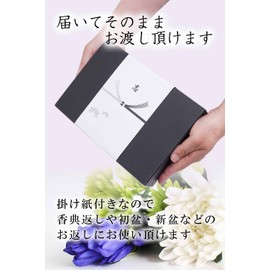 Shinoshi Kaorigai Drip Coffee, 8 Bags, Boxed, First Bon Gift Packaging (1)
