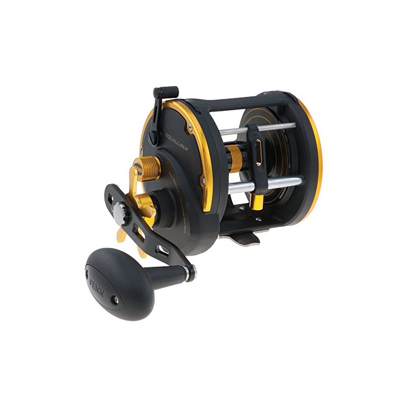 Penn Squall 20 Level Wind Star Drag