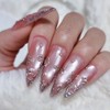 Rose shell jungle wedding handmade nail tips - long ballerina