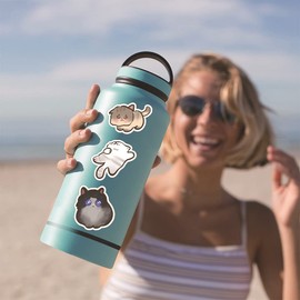 Cats Stickers for Laptop(120 PCS),Gift for Children Teens Adults Girl Boys,Waterproof Stickers for Water Bottle,Cats Vinyl Stickers for Scrapbook,Skateboard,Bike,Phone,Dairy