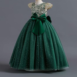 Dresses for Girls, Princess Dresses for Girls, Father Daughter Dance, Fairy Dress for Women, Flower Girls Lace Bridesmaid Long A Line Wedding Pageant Tulle Party Gown Green & Sequin 6-7 Years