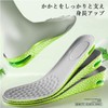 Secret Insole: 0.6 inches (1.5 cm), 1.0 inches (2.5 cm),