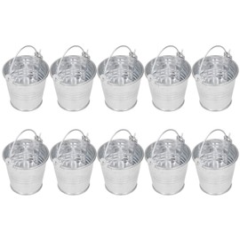 Verdant Touch Succulent Planter, 10 Pieces Mini Succulent Flower Pot, Small Metal Bucket for Indoor Outdoor Decoration, Shiny Silver, 4 x 5.5 x 6 cm