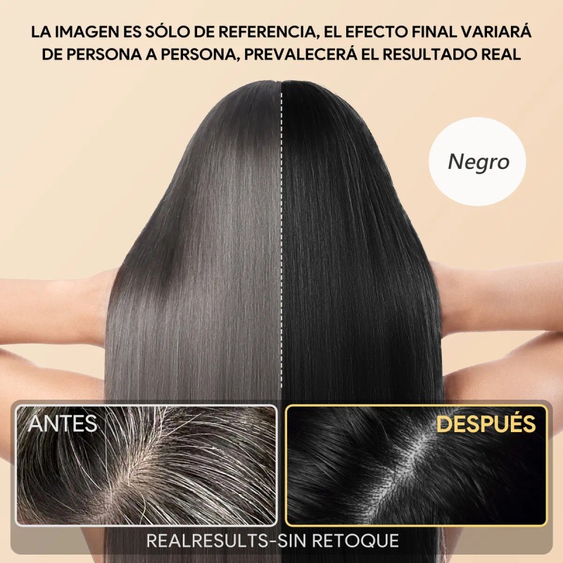 Shampoo Con Tinte 15min Cubre Canas Contiene Aceite De Argn