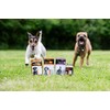 The Golden Paste Company - Natural Premium Turmeric for Dogs