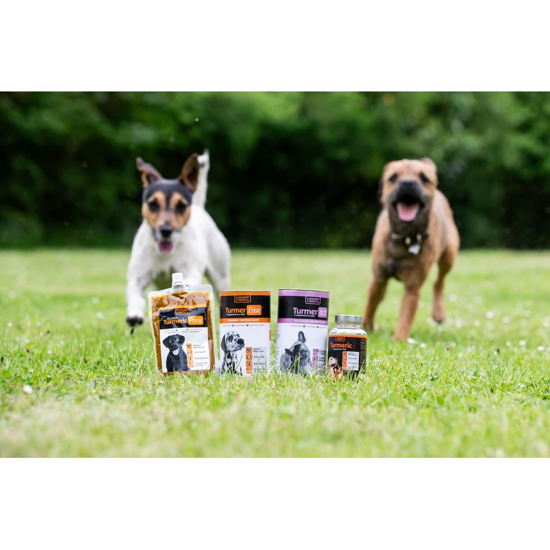 The Golden Paste Company - Natural Premium Turmeric for Dogs