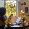 Stained Glass Window Hanging Cat, Cat Suncatchers for Windows Hanging,