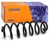 Suspension Spring Rear SPIDAN Suitable for Seat Altea XL VW