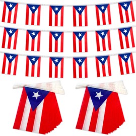 TSMD 2 Packs Puerto Rico Flag Banner Puerto Rican Flags String Small Mini Hanging Flags Decorations,60 Feet 40 Flags