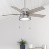 Hunter Fan Company 44 inch Lilliput with LED Light Brushed