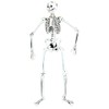 Skeleton 55''Glow Cardboard