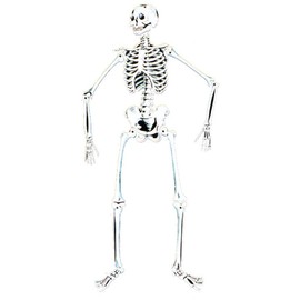 Skeleton 55''Glow Cardboard
