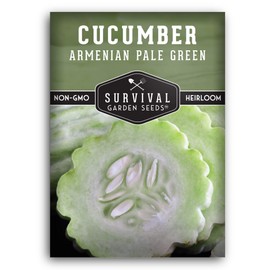 1 Pack Armenian Pale Green Cucumber Seed for Planting - Packet with Instructions to Grow Long Burpless Cucumbers in The Home Vegetable Garden - Non-GMO Heirloom Variety - Survival Garden Seeds
