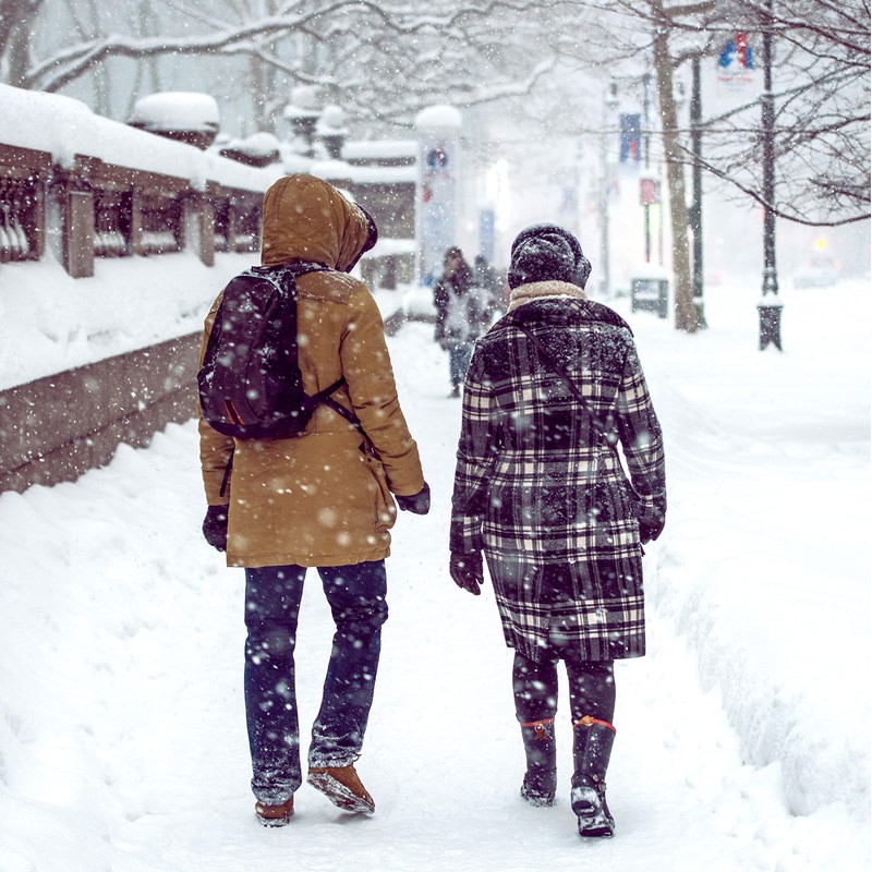 Alpaca & Wool Felted Sole Inserts for Boots & Shoes