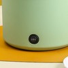 Multifunctional Electric Cooking Pot Small Mini Electric Cooker Rapid Noodle