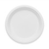 25cm (10") Large White Bagasse Plate - Fully Biodegradable &