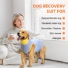 Avont Dog Surgery Recovery Suit, Post-Spay/Neuter Onesie for Female/Male Puppies,