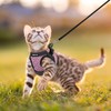 CatRomance Cat Harness and Leash Escape Proof for Walking, Safe