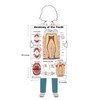 Anatomy of the Teeth, Tooth Decay size 24Wx36T