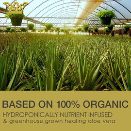 LEROSETT Healing Serum for Acne Scarring, Redness, Breakouts, Irritation, Hydrate, Soothe, Firm, Plump, with Organic Aloe Vera, Collagen, Elastin, Keratin, Vitamin C, Ginseng 4 oz