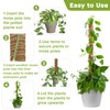 Sukh Moss Totem Pole - Moss Pole for Plants Monstera