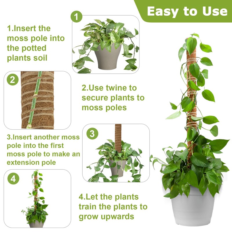 Sukh Moss Totem Pole - Moss Pole for Plants Monstera