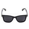 FERRY Polarized Lens Wellington Sunglasses Pouch & Cloth Set Unisex Color Black