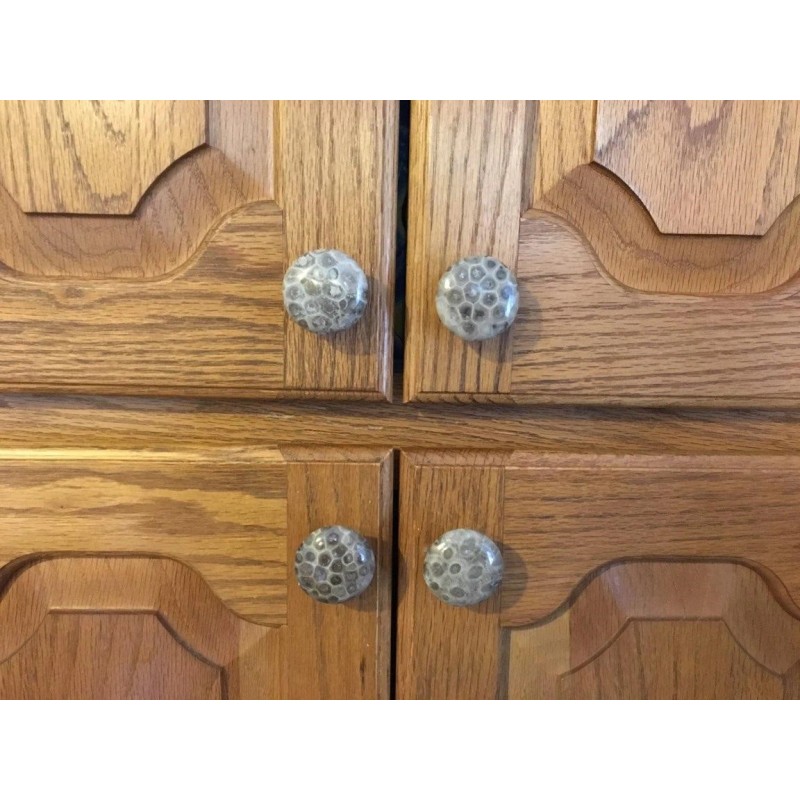 Petoskey Stone Door Knob