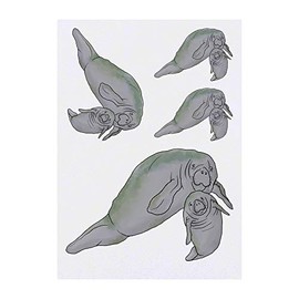 4 x 'Manatee Mother & Calf' Temporary Tattoos - Water Resistant, Skin-Safe, Non-Toxic Transfers, Mixed Sizes (TO00041939)