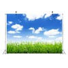 Loccor Fabric 6x4ft Blue Sky Backdrop Spring Green Field Beautiful