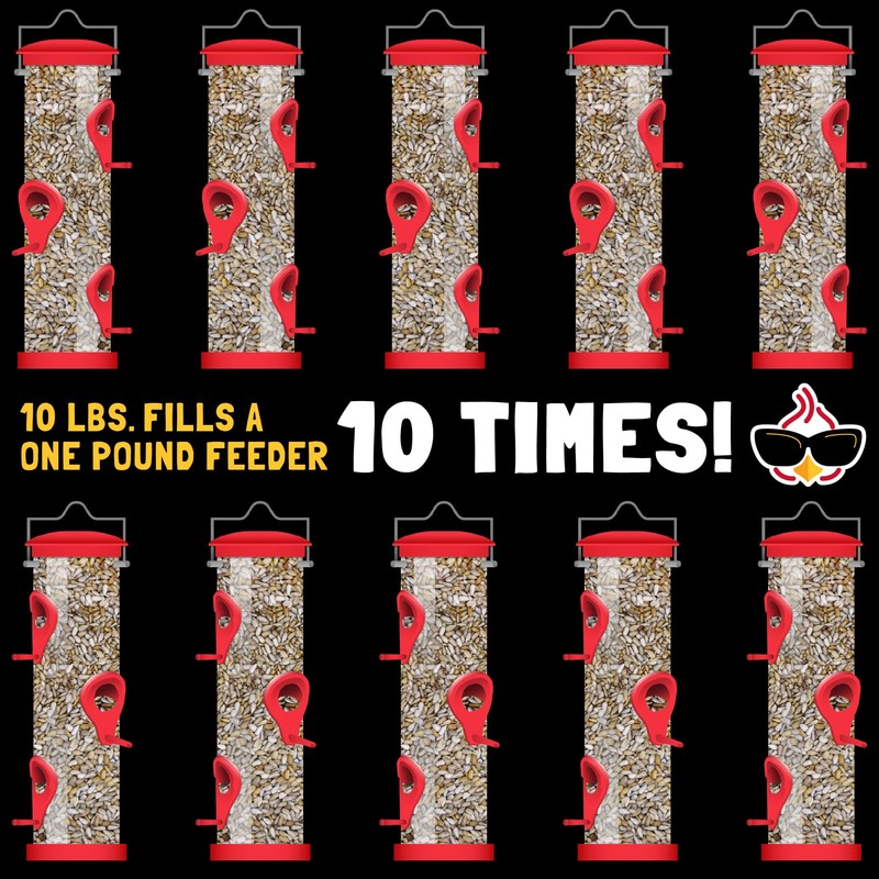 COOL BIRDS Hearts on Fire Hot Bird Seed – 10
